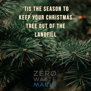 Close up of pine tree with the text 'tis the season to keep your christmas tree out of the landfi