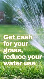 a sprinkler spraying water across a lawn 