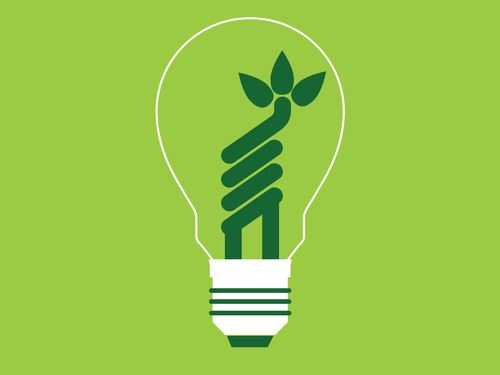 graphic of a light bulb with a leaf as the coil against a green background