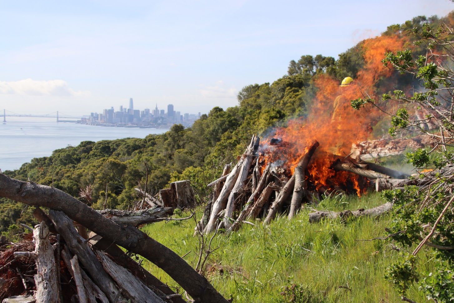 Angel Island Prescribed Burn