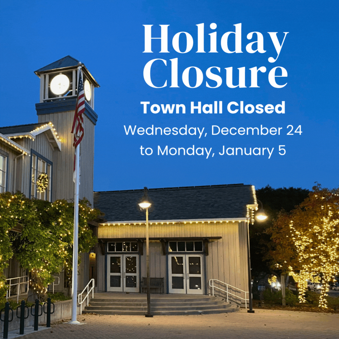 Holiday Closure - Lights